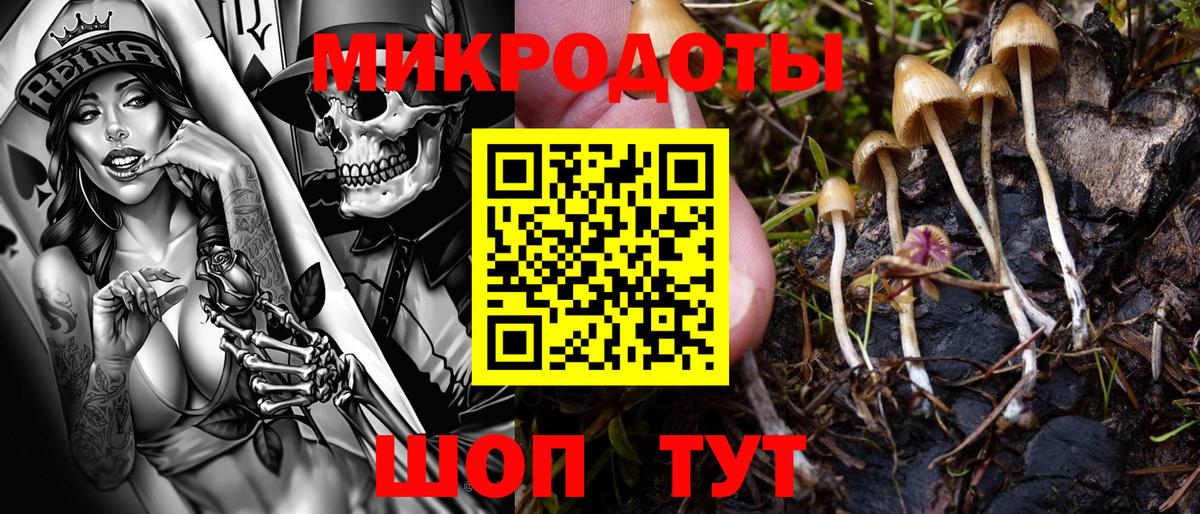 Псилоцибиновые грибы Magic Shrooms Можга