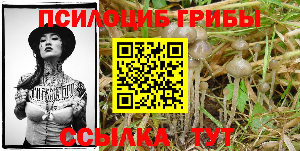 Галлюциногенные грибы Cubensis  Вход с VPN  Можга 