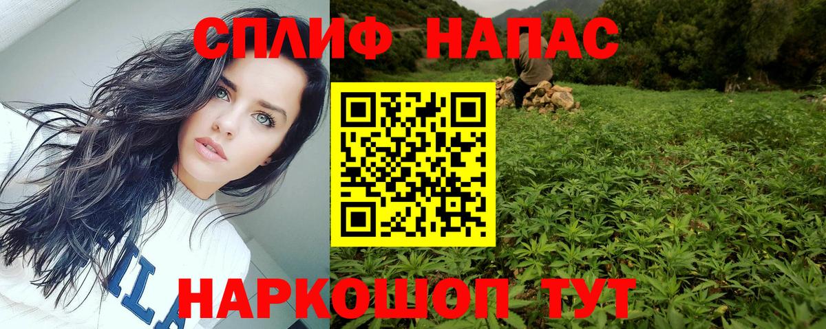 Канабис семена Можга